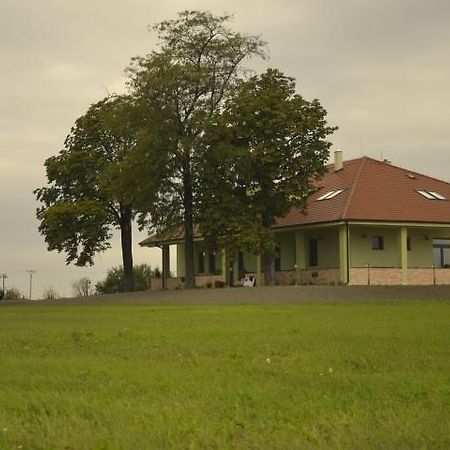 Hotel Penzion Bokros Patince Exteriér fotografie